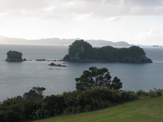 Widok na wyspę Mahurangi